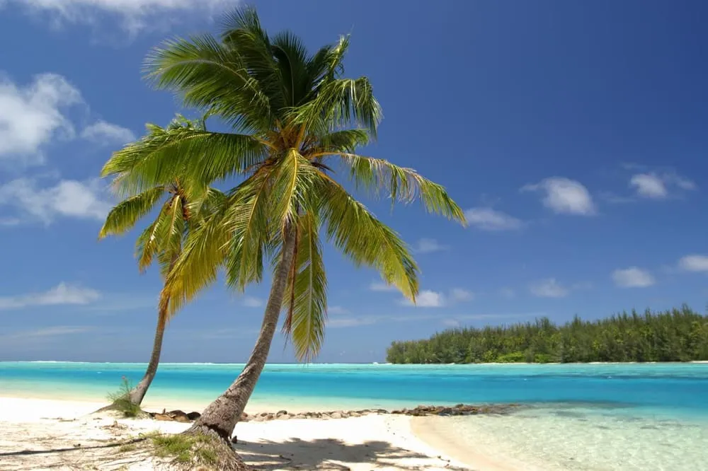 Slide of Paradise Heating and Cooling