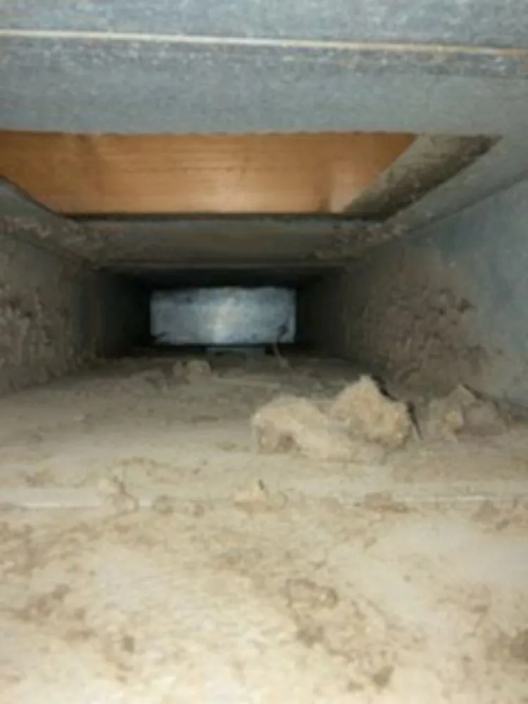 Slide of Paradise Home Services