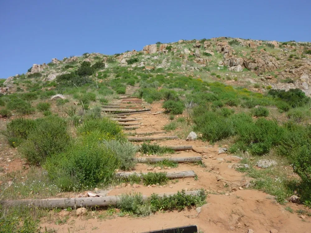 Slide of Paradise Home Services