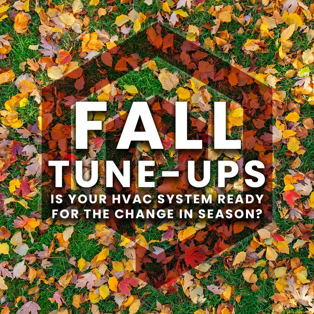 Slide of Paragon Service Pros