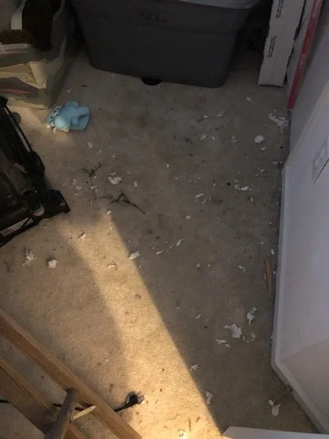 Slide of Pardee Service Experts