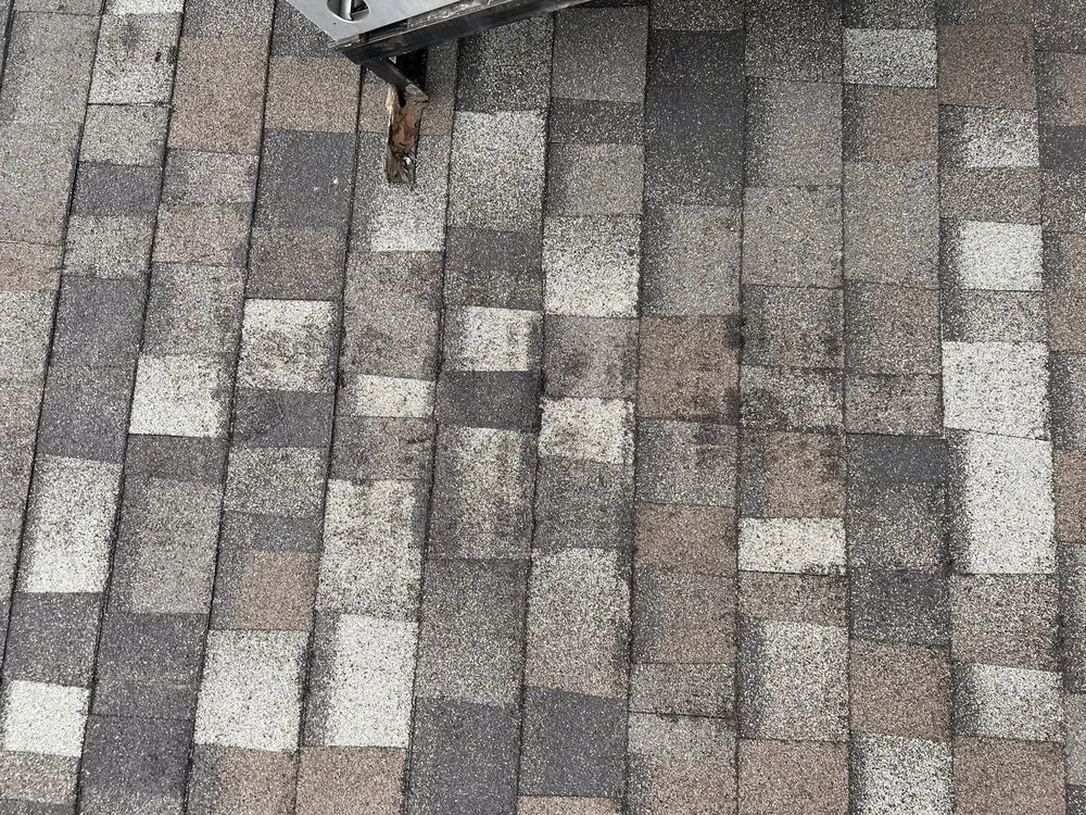 Slide of Parker & Sons