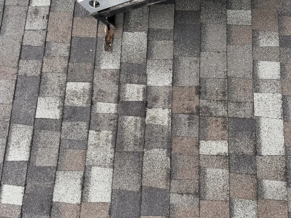 Slide of Parker & Sons