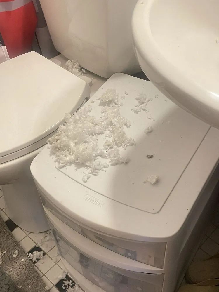 Slide of Parker & Sons