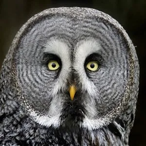 Slide of Parks Davis Air Conditioning & Heating