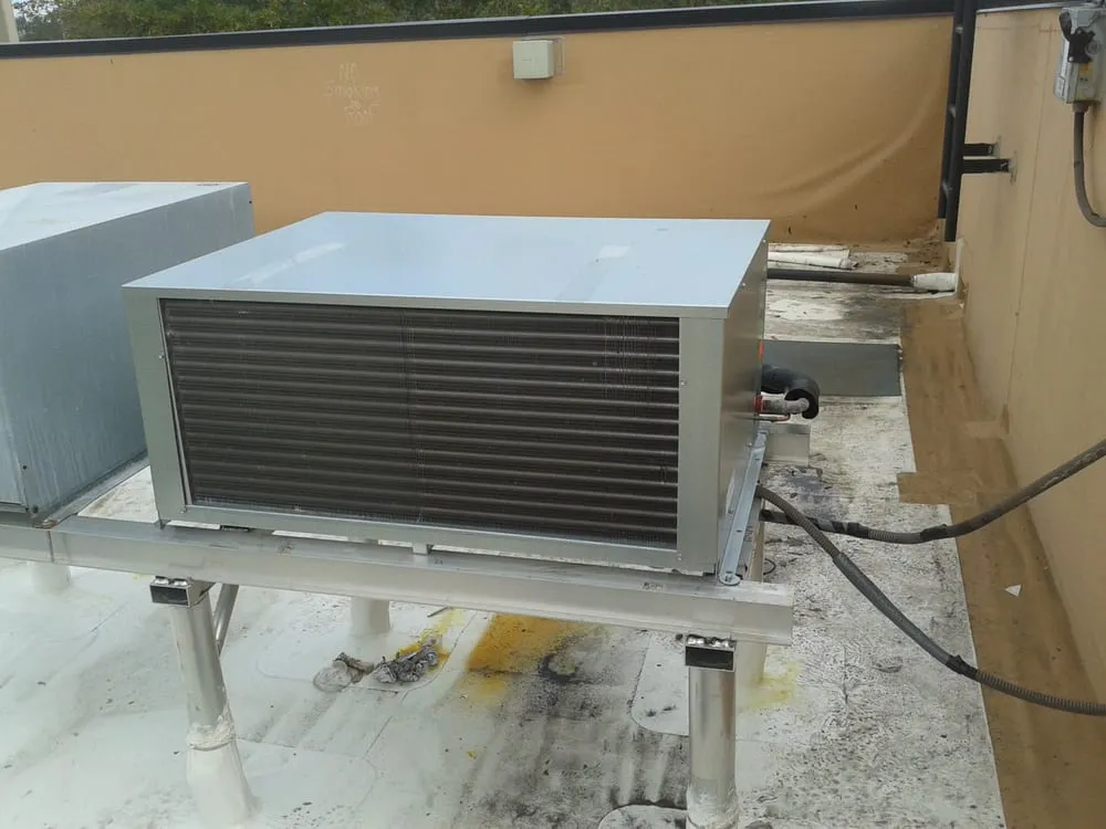 Slide of Parrot Bay Mechanical