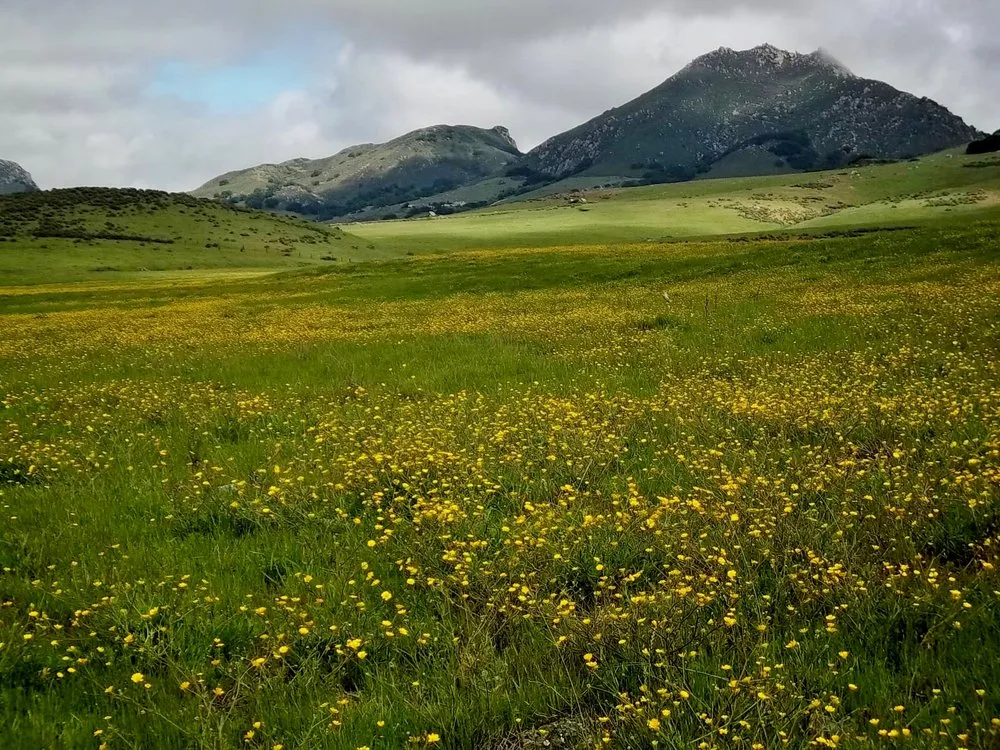 Slide of Paso Robles Heating and Air