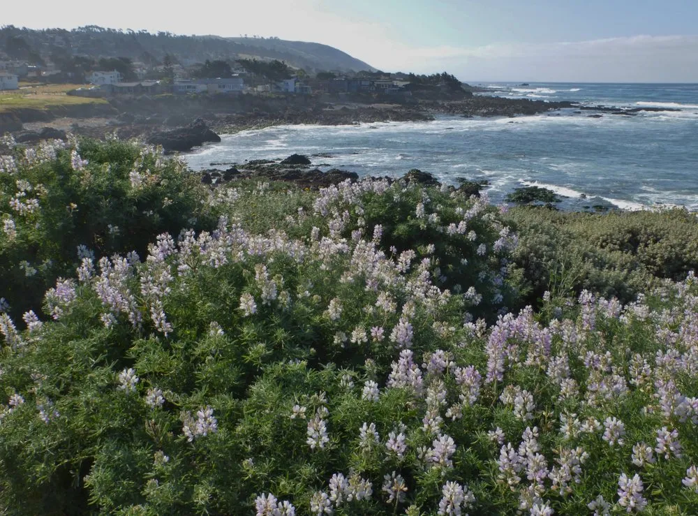 Slide of Paso Robles Heating and Air