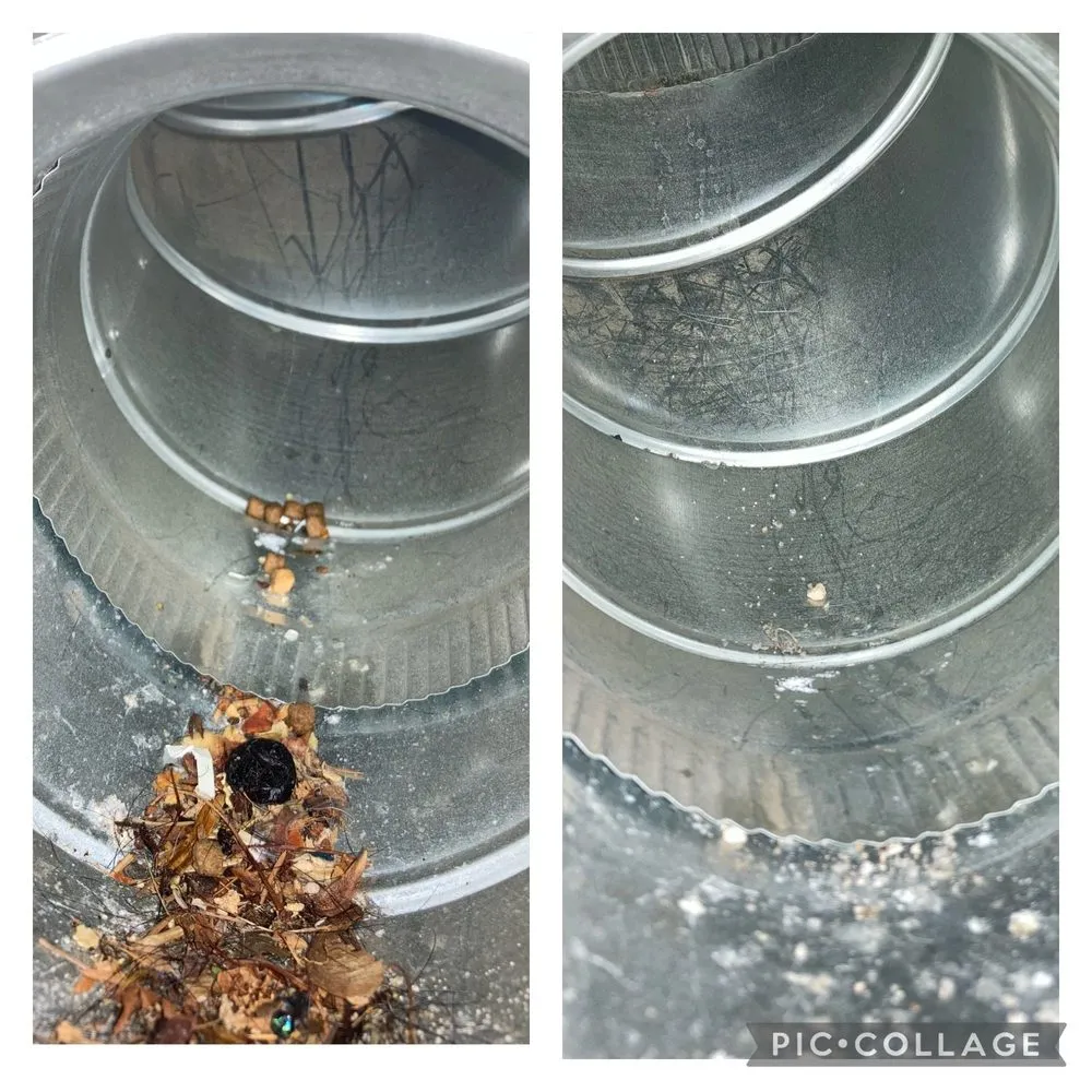 Slide of Patrick’s Power Vac