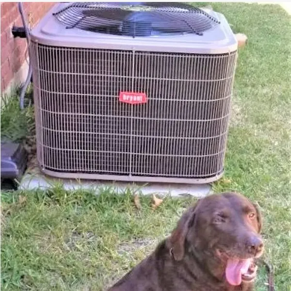 Slide of Patriot Air Comfort Specialist