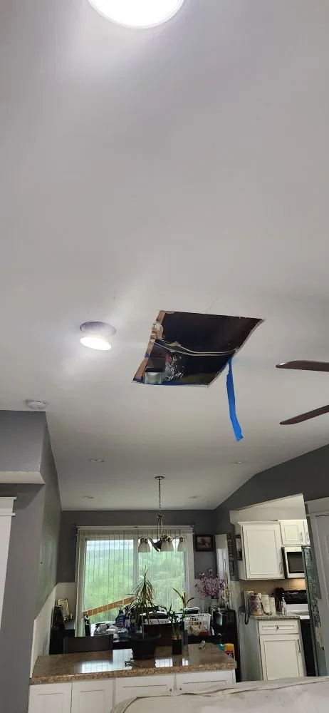 Slide of Patriot Pro