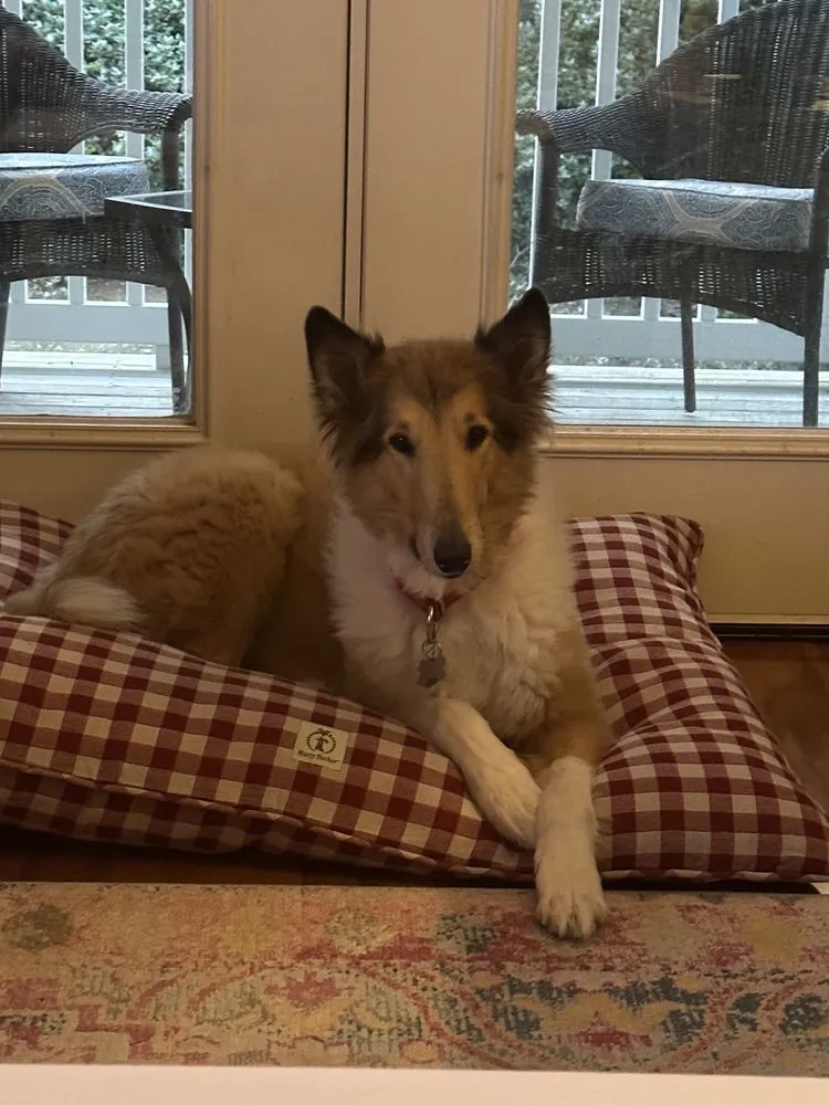 Slide of Patterson Heating & Air Conditioning