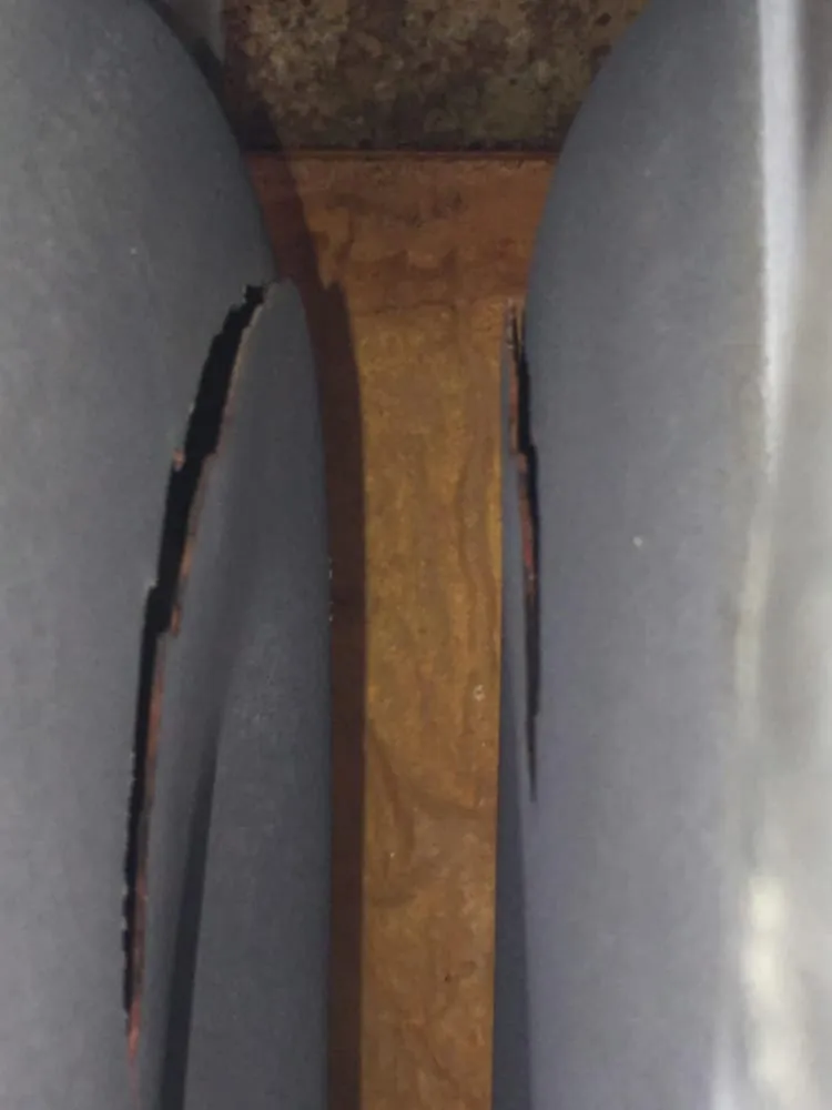 Slide of Patterson's