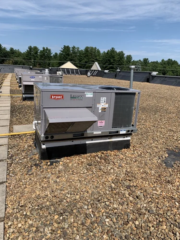 Slide of Paul Mechanical