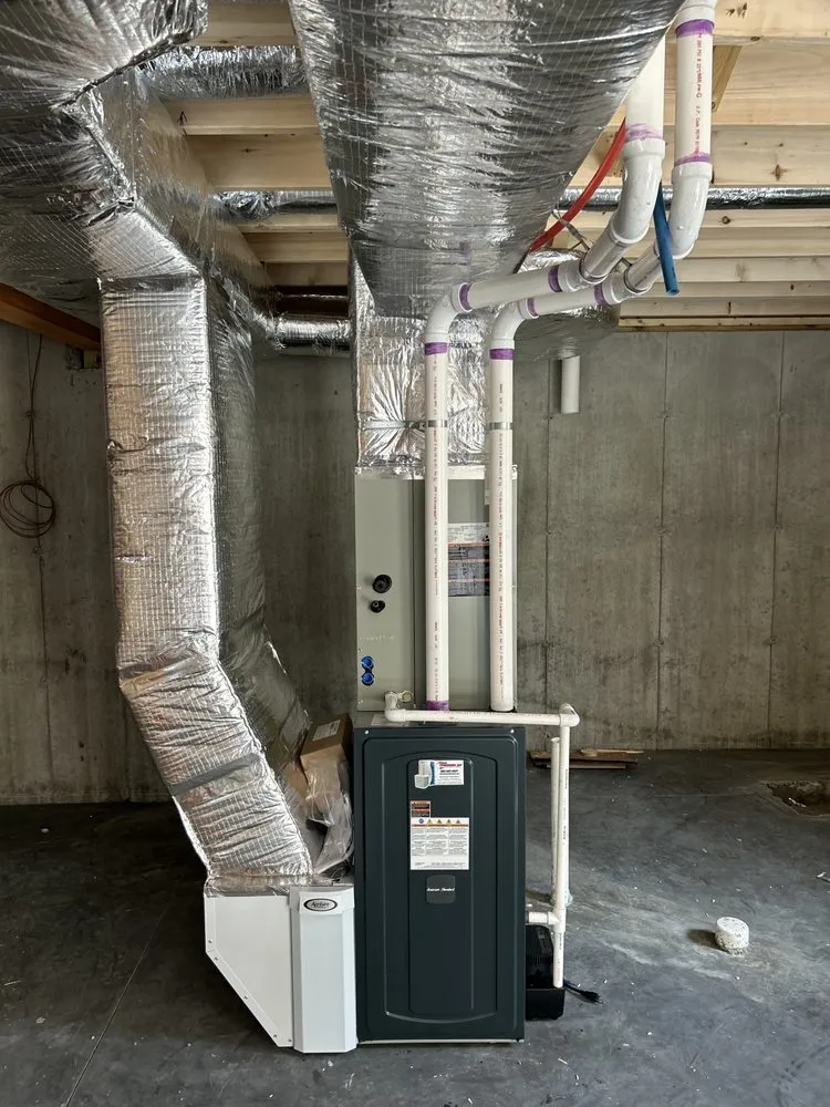 Slide of Paul Mechanical