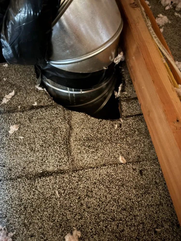 Slide of Paul's Air FX