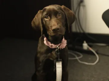 Slide of Paulson Air Conditioning