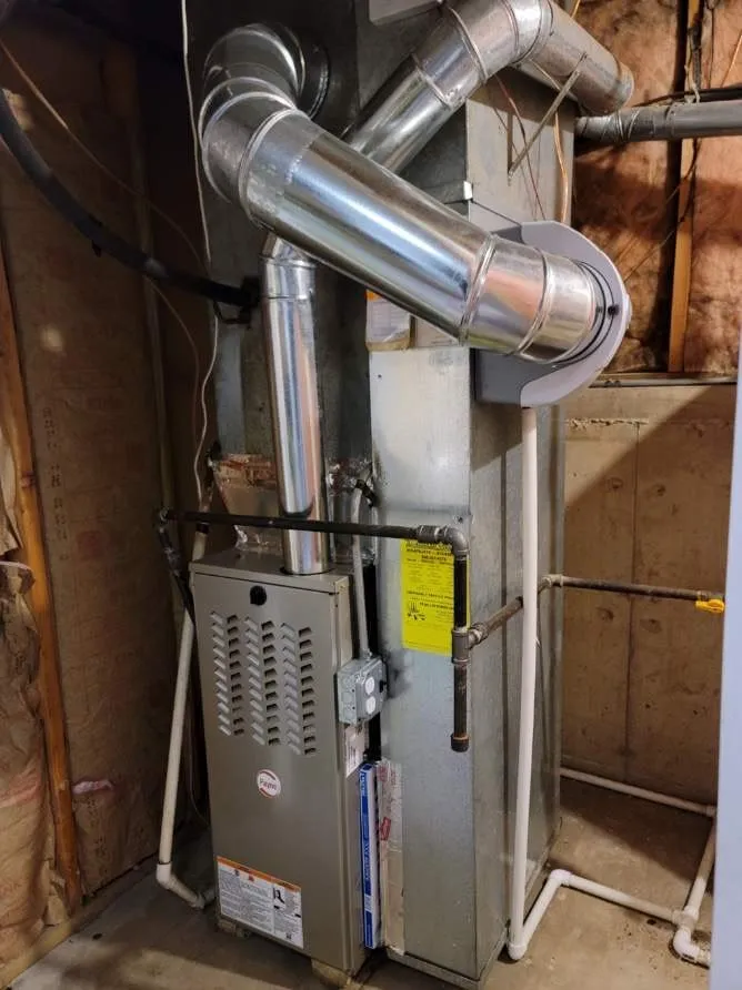 Slide of Payne & Sons