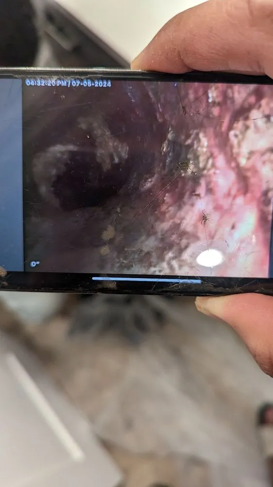 Slide of PDS Plumbing and Air