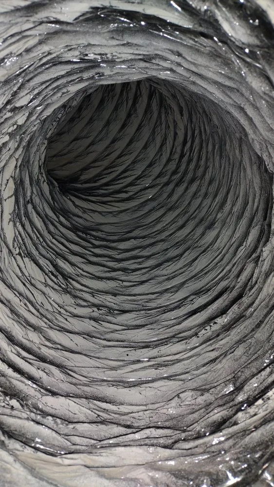 Slide of PDX Duct Clean