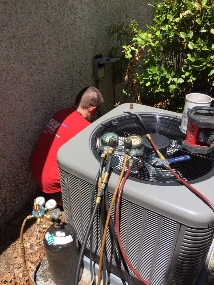 Slide of Peach Services