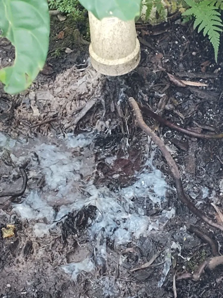 Slide of Pedro AC Service