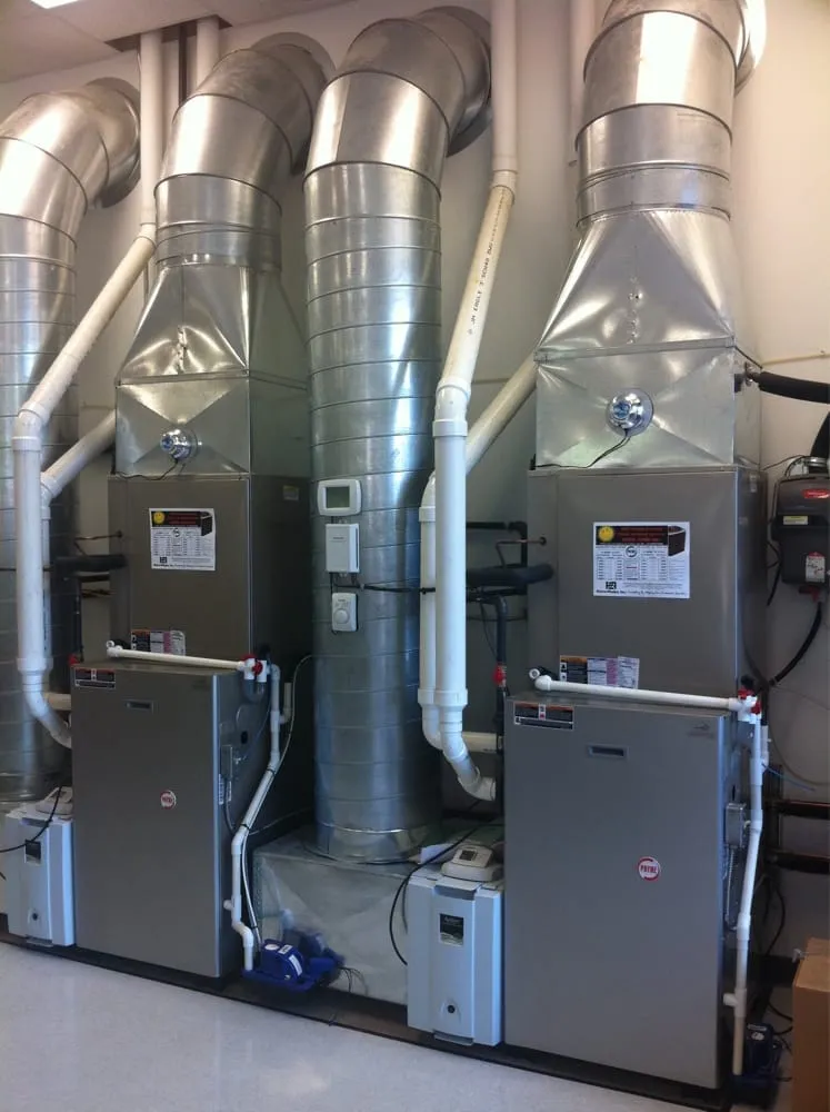 Slide of Peirce-Phelps