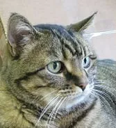 Slide of Pence's Air Conditioning, Heating and Appliances