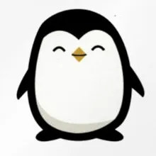 Penguin Air Solutions