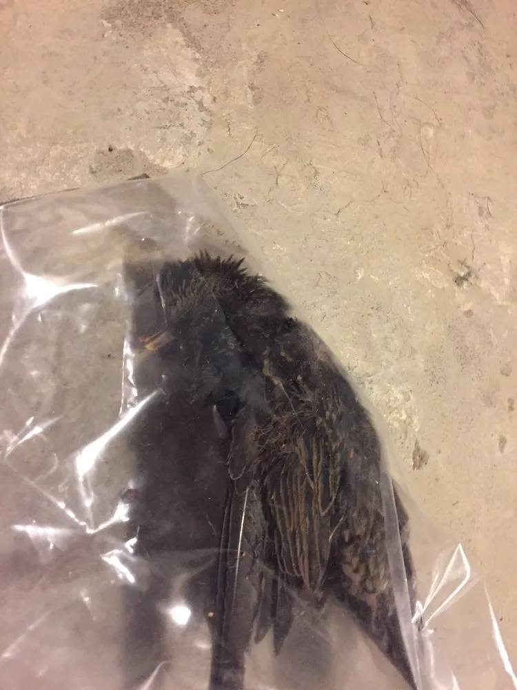 Slide of Perfect Balance Heating & Cooling