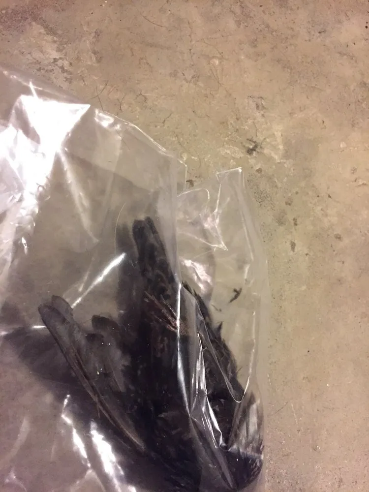 Slide of Perfect Balance Heating & Cooling