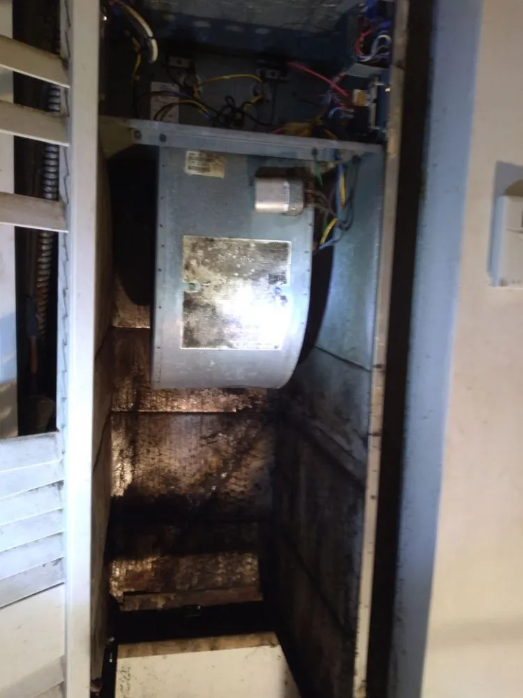 Slide of Perfect Guy