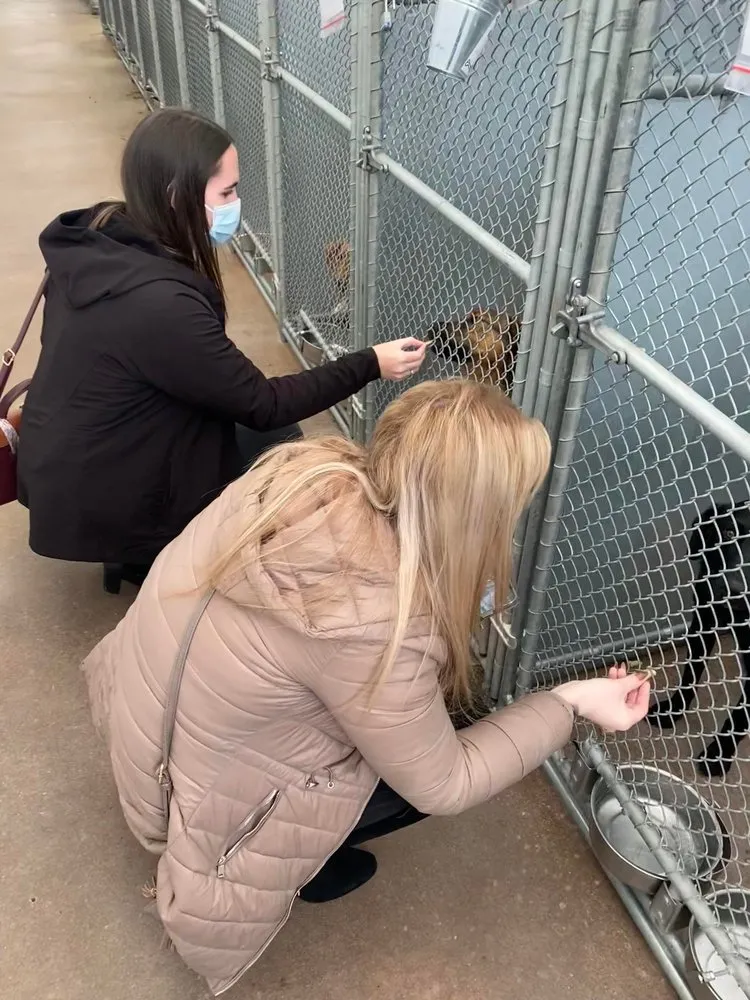 Slide of Perfect Plumbing Heating & Air