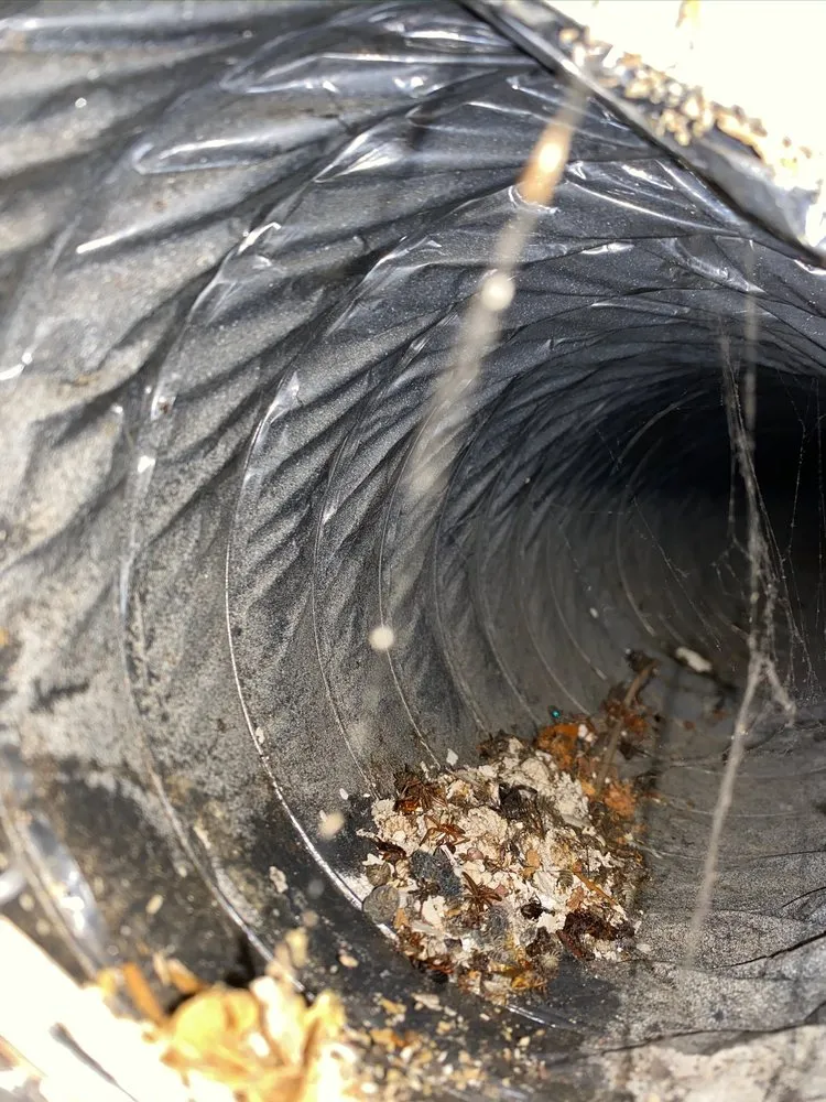 Slide of Perfect Temp