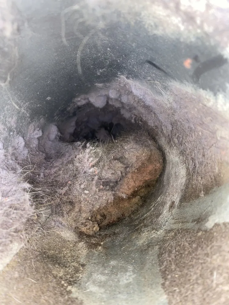 Slide of Perfect Temp