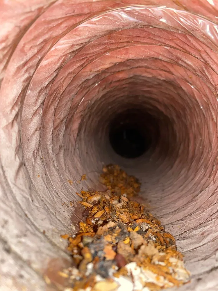 Slide of Perfect Temp