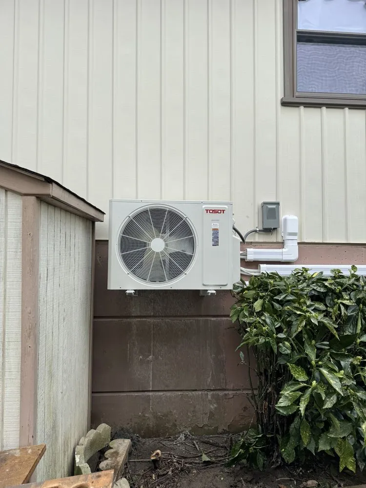 Slide of Peter Mechanical