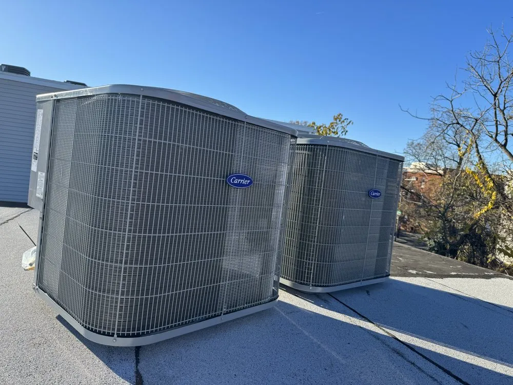 Slide of Peter Mechanical