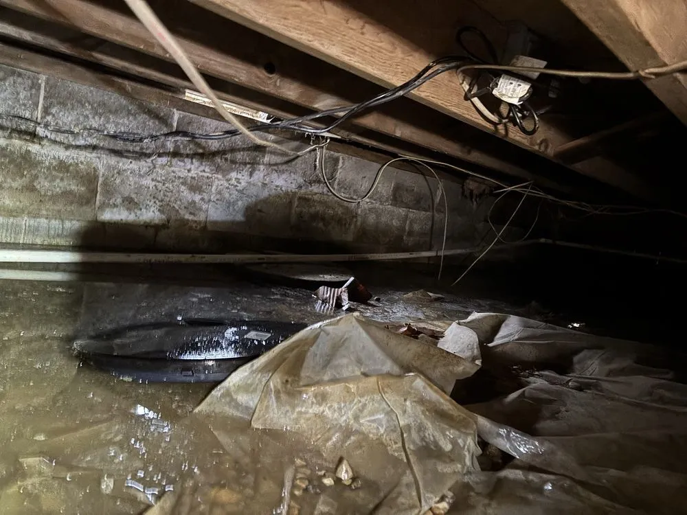 Slide of Peterman Brothers