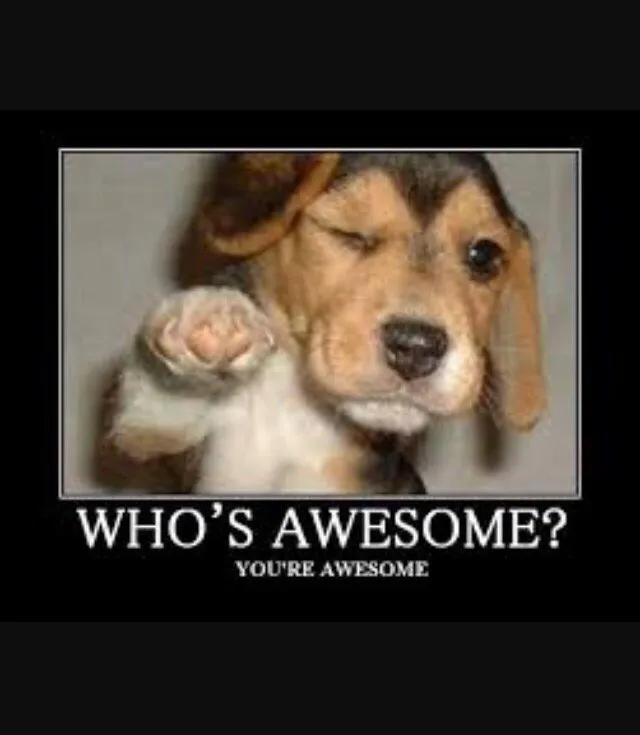 Slide of Pete's Plumbing