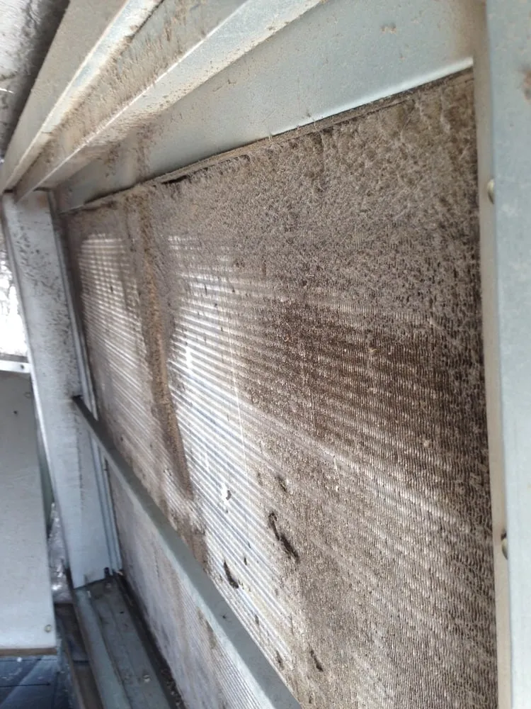 Slide of Phase II Development