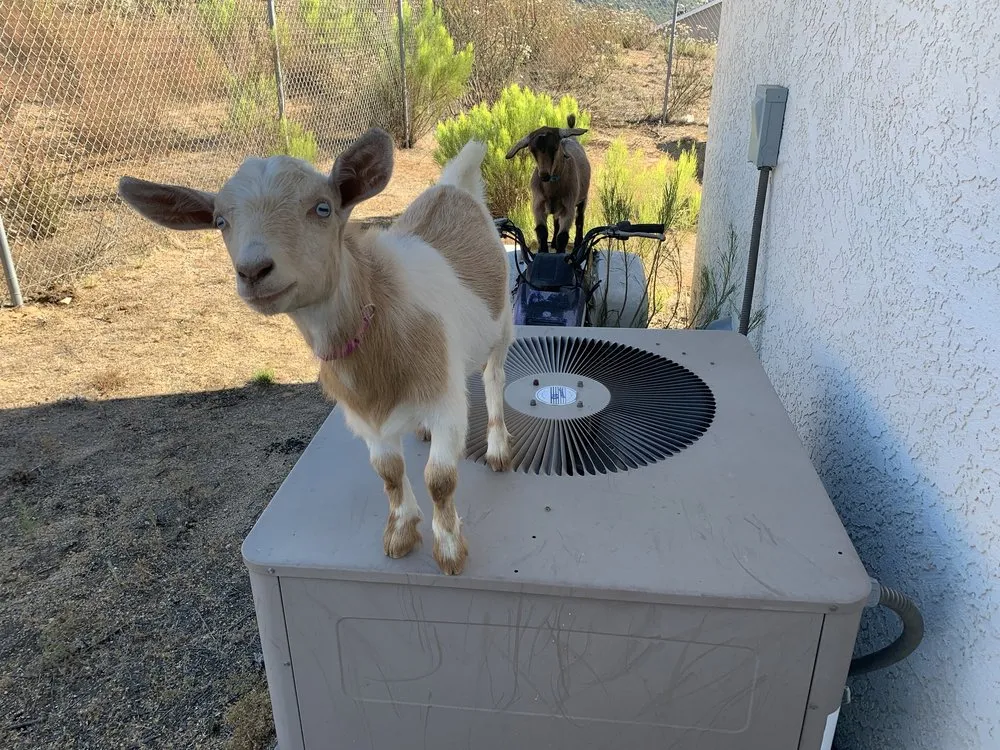 Slide of Phend Heating & Air