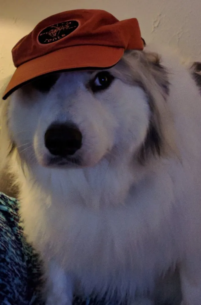 Slide of Philips Service