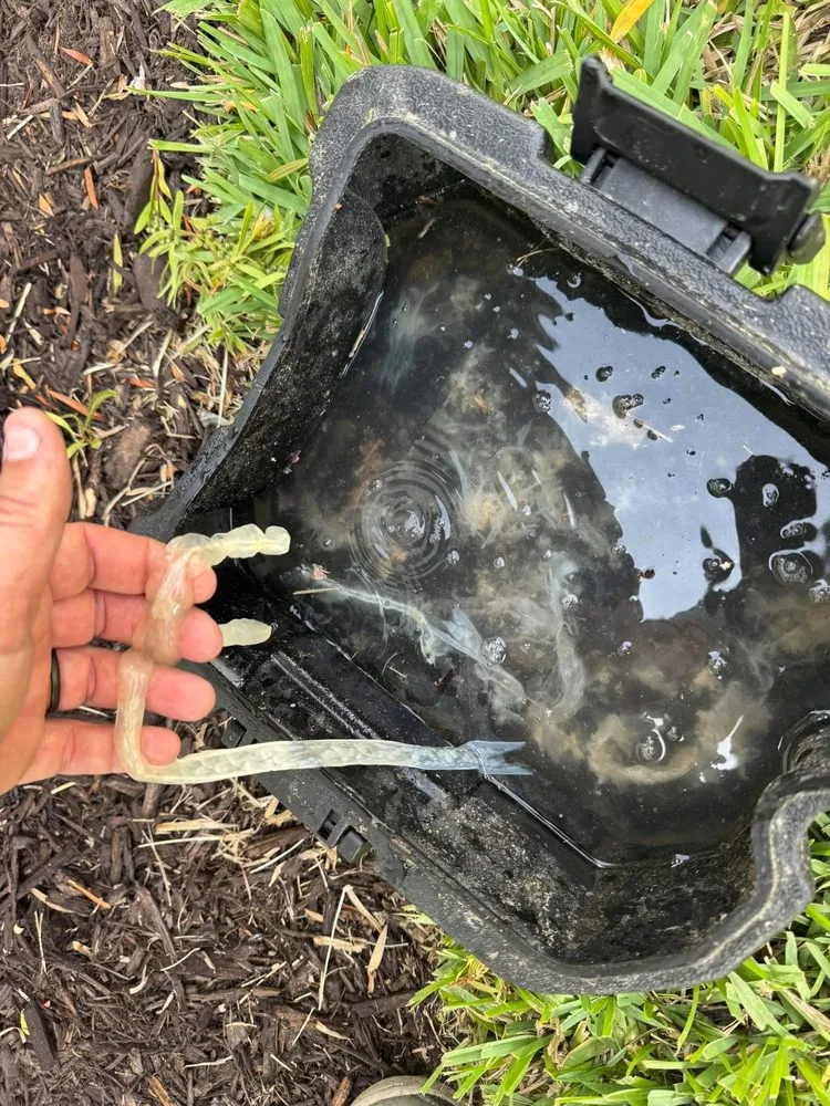 Slide of Phillips Family AC