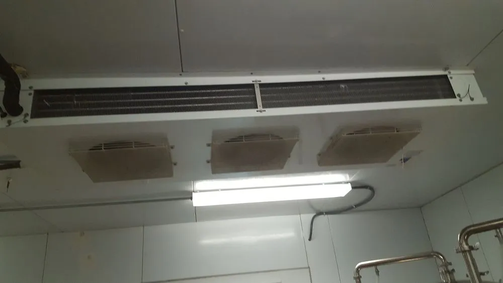 Slide of Phillip's Mechanical