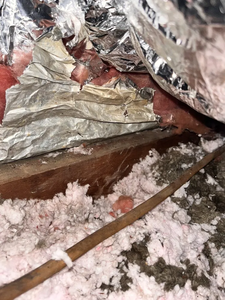 Slide of Phoenix Air