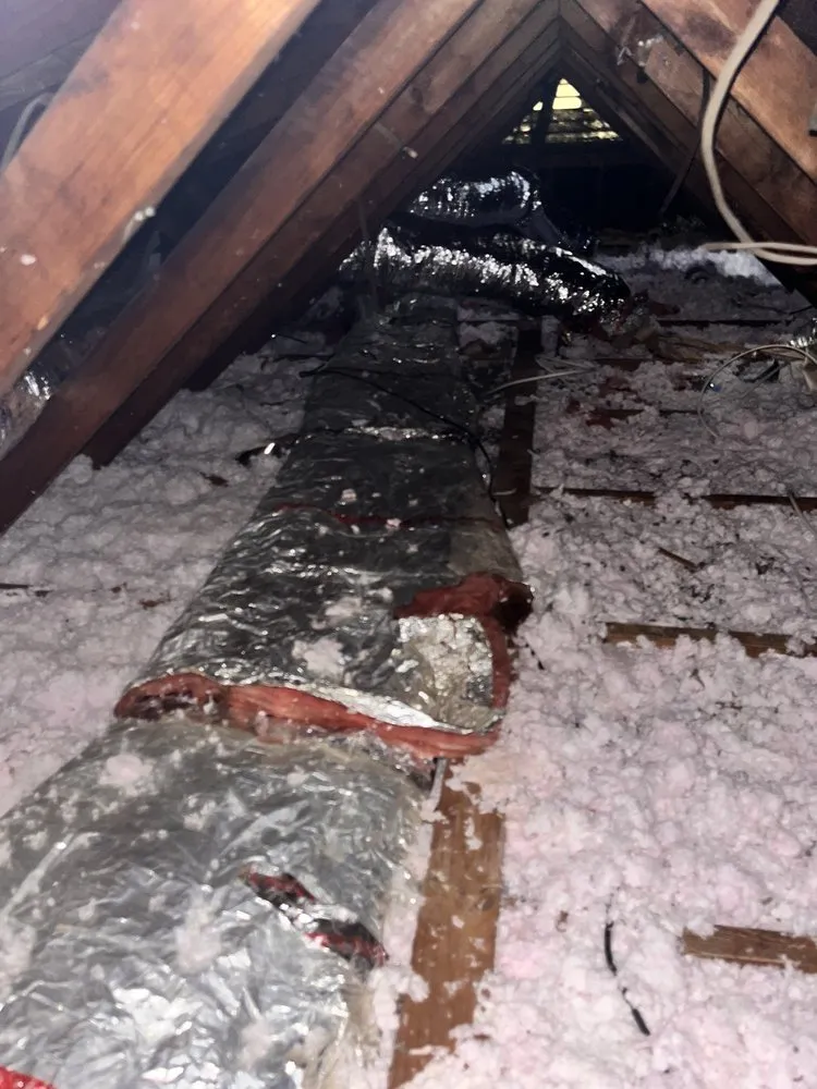 Slide of Phoenix Air