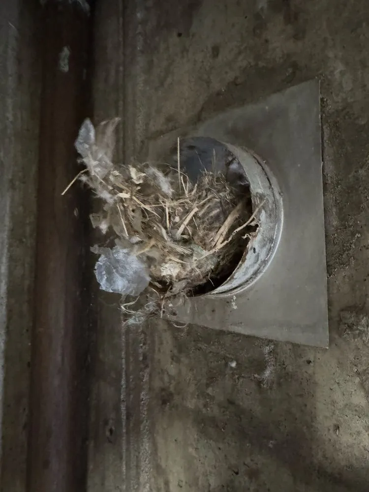 Slide of Picciones Heating and Cooling