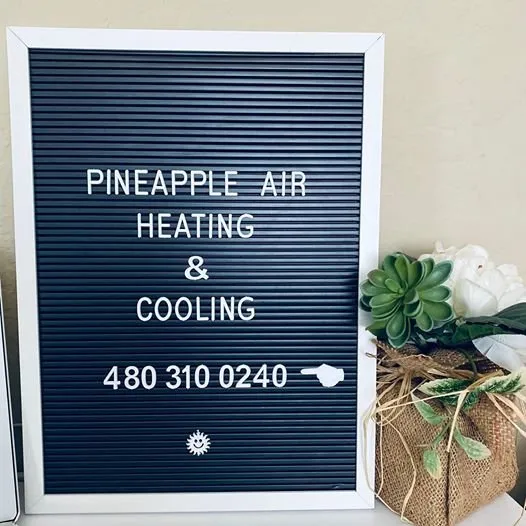 Slide of Pineapple Air Heating & Cooling