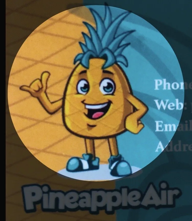 Slide of Pineapple Air Heating & Cooling